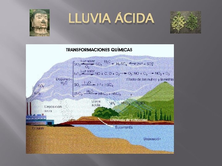 LLUVIA ÁCIDA LLUVIA ÁCIDA