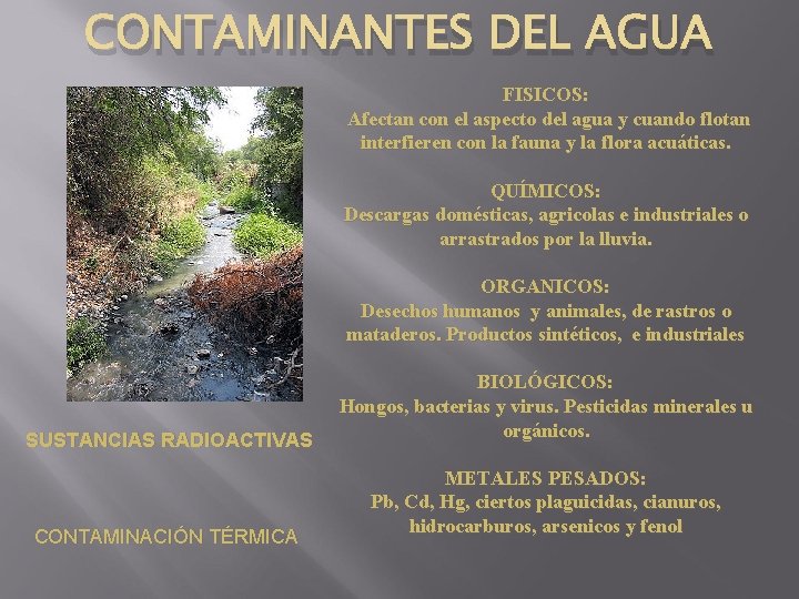 CONTAMINANTES DEL AGUA FISICOS: Afectan con el aspecto del agua y cuando flotan interfieren CONTAMINANTES DEL AGUA FISICOS: Afectan con el aspecto del agua y cuando flotan interfieren