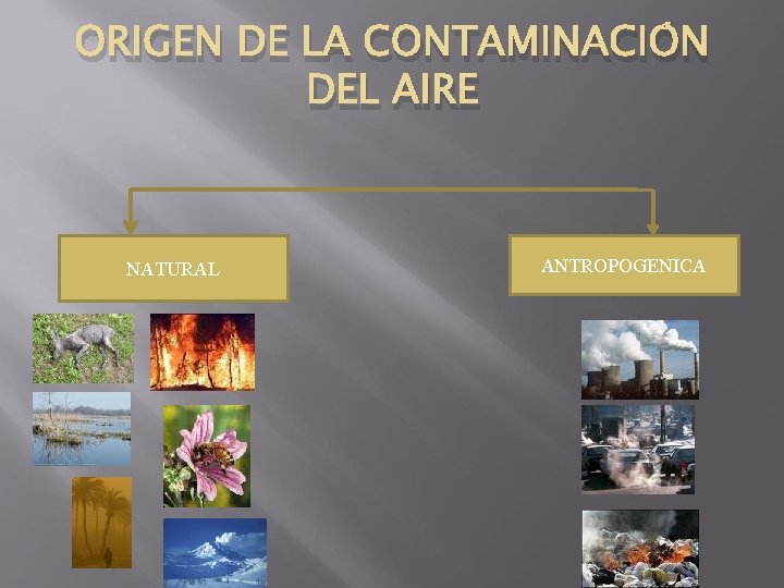 ORIGEN DE LA CONTAMINACIÓN DEL AIRE NATURAL ANTROPOGENICA ORIGEN DE LA CONTAMINACIÓN DEL AIRE NATURAL ANTROPOGENICA