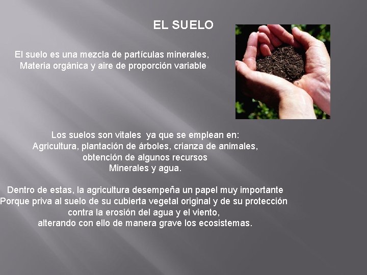 EL SUELO El suelo es una mezcla de partículas minerales, Materia orgánica y aire EL SUELO El suelo es una mezcla de partículas minerales, Materia orgánica y aire