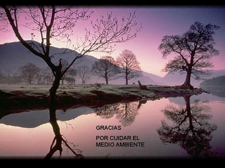 GRACIAS POR CUIDAR EL MEDIO AMBIENTE GRACIAS POR CUIDAR EL MEDIO AMBIENTE
