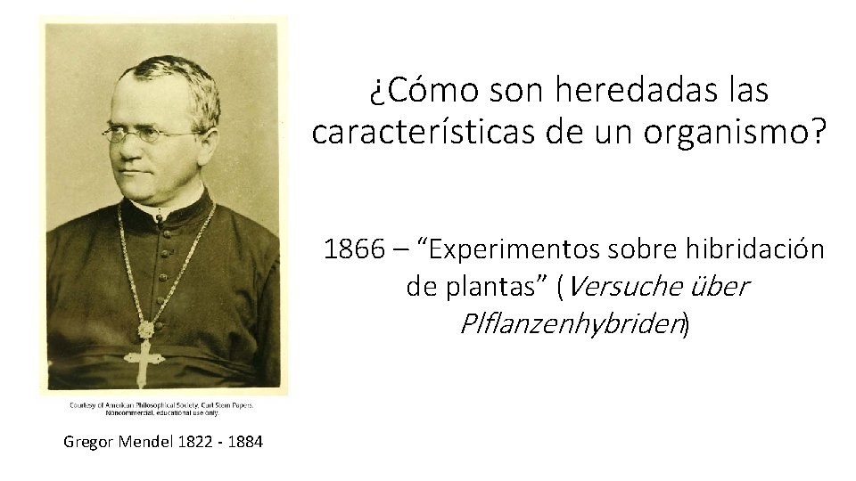 ¿Cómo son heredadas las características de un organismo? 1866 – “Experimentos sobre hibridación de