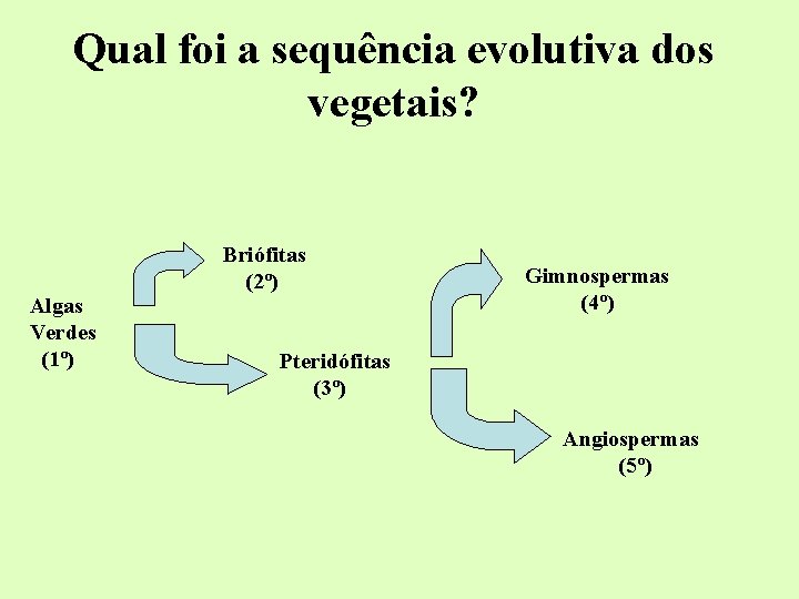 Qual foi a sequência evolutiva dos vegetais? Algas Verdes (1º) Briófitas (2º) Gimnospermas (4º) Qual foi a sequência evolutiva dos vegetais? Algas Verdes (1º) Briófitas (2º) Gimnospermas (4º)