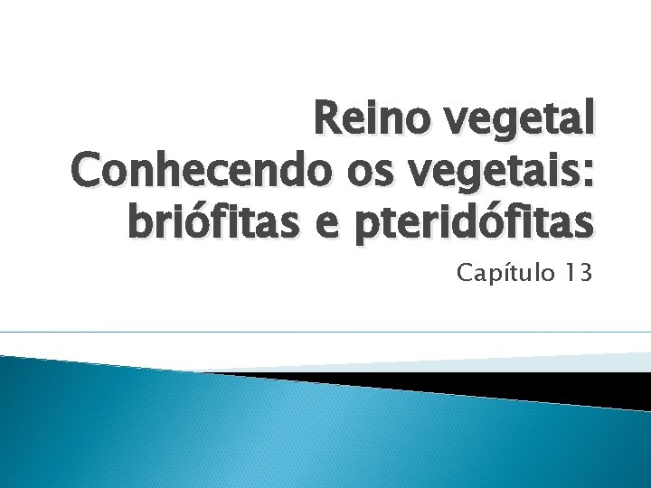 Reino vegetal Conhecendo os vegetais: briófitas e pteridófitas Capítulo 13 Reino vegetal Conhecendo os vegetais: briófitas e pteridófitas Capítulo 13