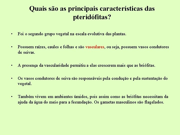 Quais são as principais características das pteridófitas? • Foi o segundo grupo vegetal na Quais são as principais características das pteridófitas? • Foi o segundo grupo vegetal na