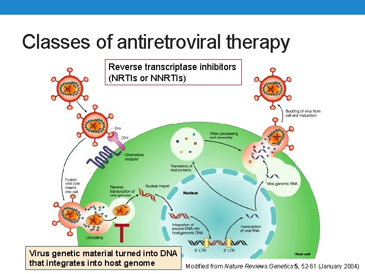 Classes of antiretroviral therapy Reverse transcriptase inhibitors (NRTIs or NNRTIs) Virus genetic material turned