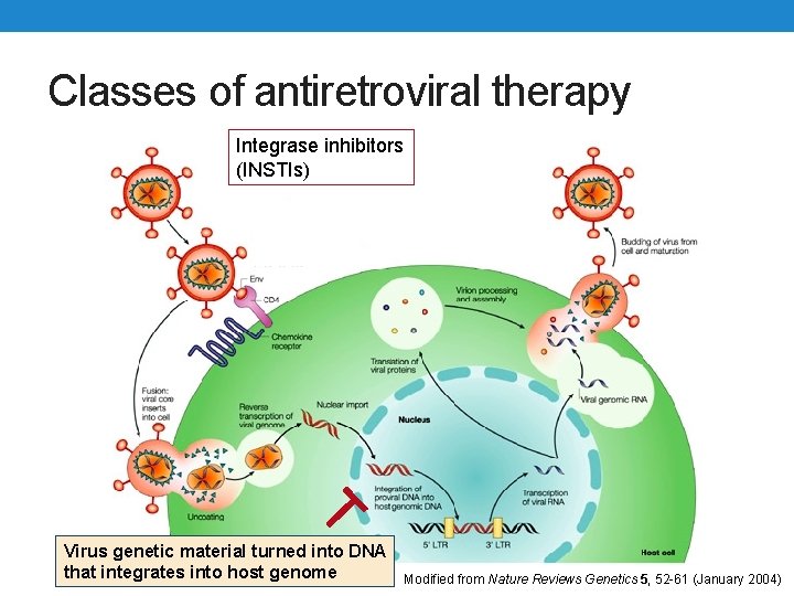 Classes of antiretroviral therapy Integrase inhibitors (INSTIs) Virus genetic material turned into DNA that