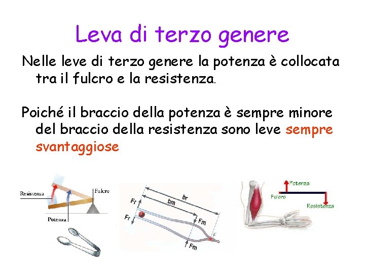 Leva di terzo genere Nelle leve di terzo genere la potenza è collocata tra