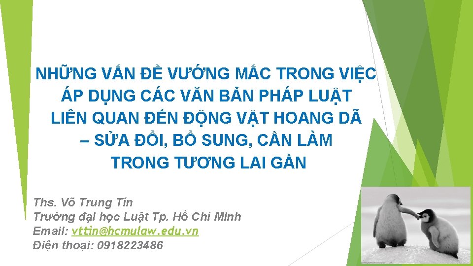 NHỮNG VẤN ĐỀ VƯỚNG MẮC TRONG VIỆC ÁP DỤNG CÁC VĂN BẢN PHÁP LUẬT