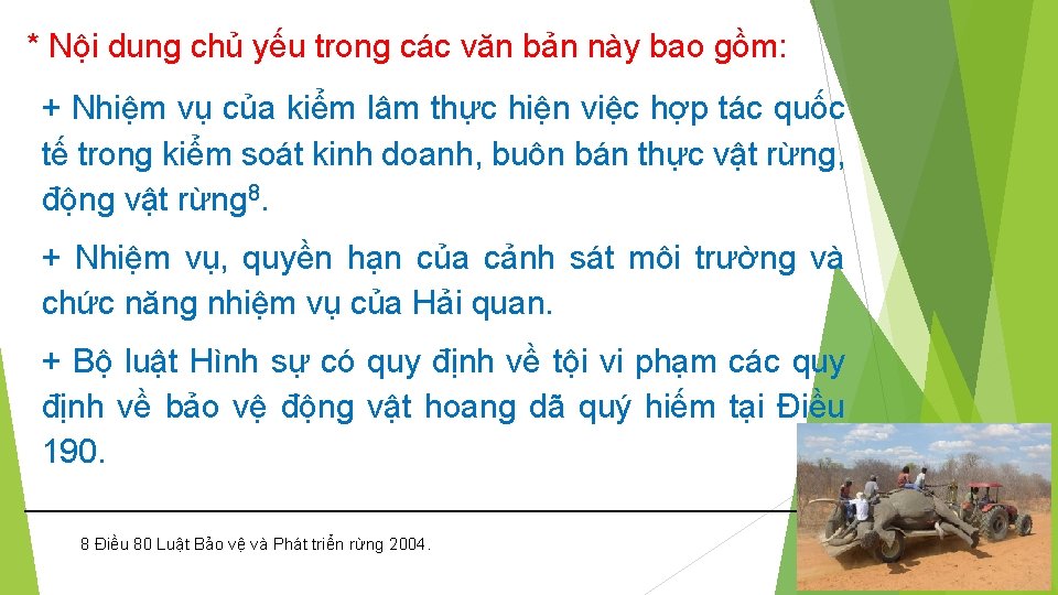 * Nội dung chủ yếu trong các văn bản này bao gồm: + Nhiệm