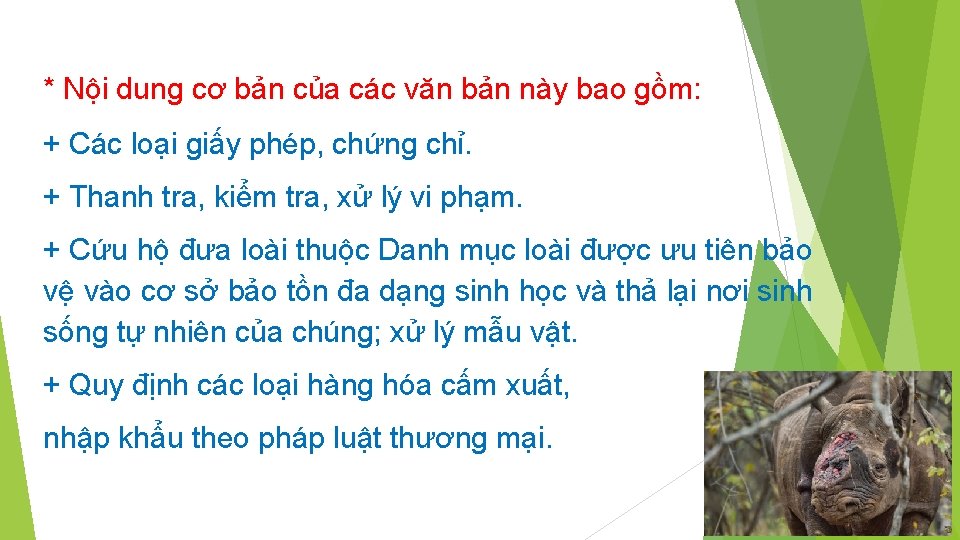 * Nội dung cơ bản của các văn bản này bao gồm: + Các