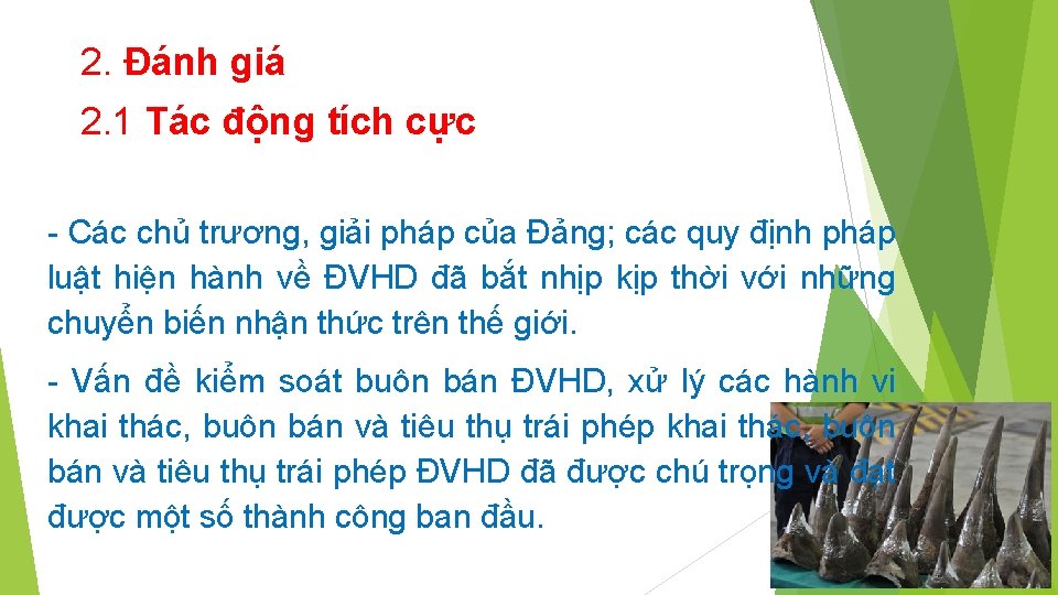 2. Đánh giá 2. 1 Tác động tích cực - Các chủ trương, giải