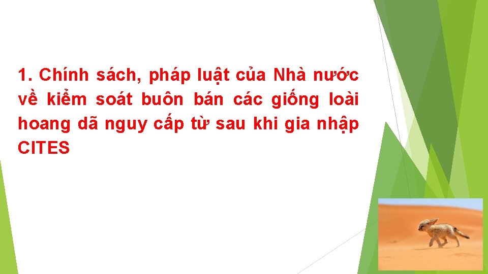 1. Chính sách, pháp luật của Nhà nước về kiểm soát buôn bán các