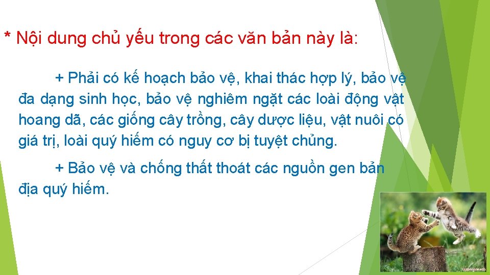 * Nội dung chủ yếu trong các văn bản này là: + Phải có