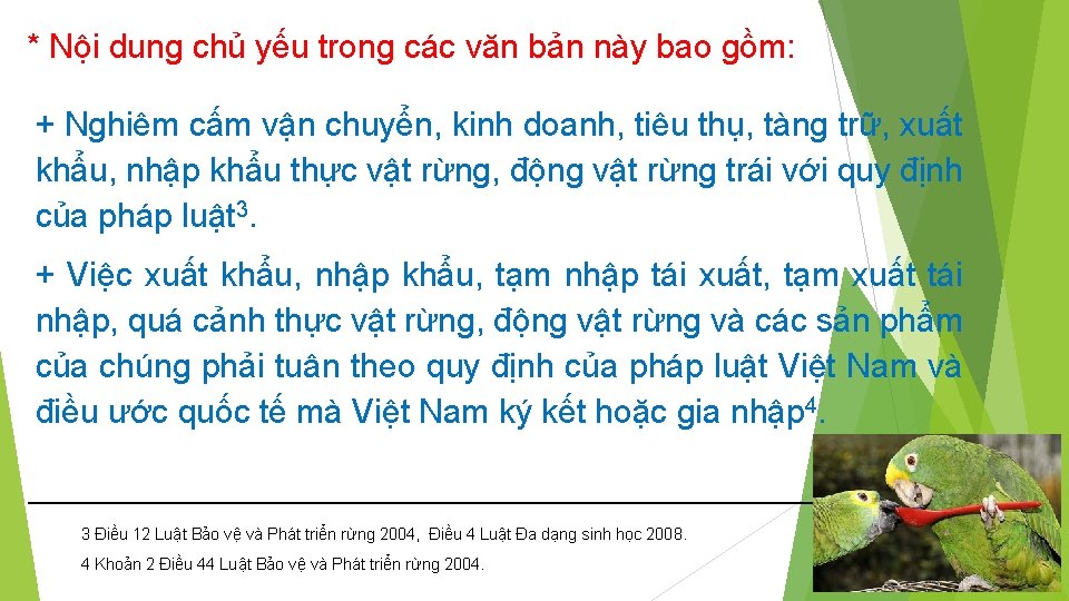 * Nội dung chủ yếu trong các văn bản này bao gồm: + Nghiêm