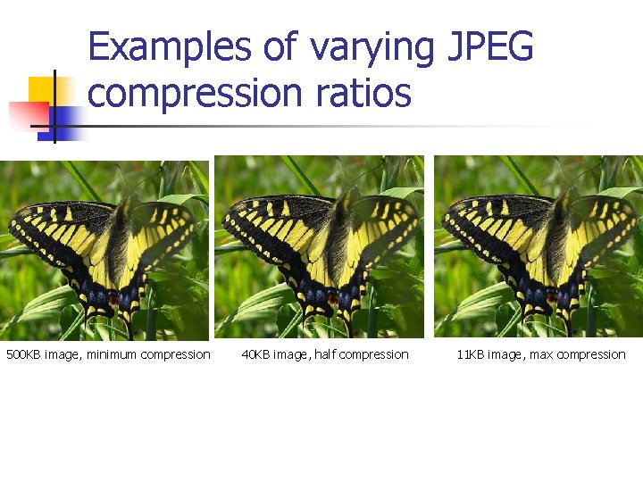 Examples of varying JPEG compression ratios 500 KB image, minimum compression 40 KB image,