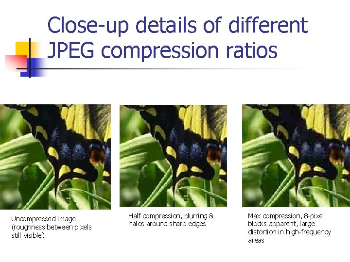 Close-up details of different JPEG compression ratios Uncompressed image (roughness between pixels still visible)