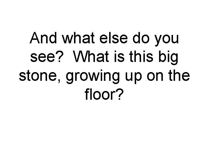 And what else do you see? What is this big stone, growing up on