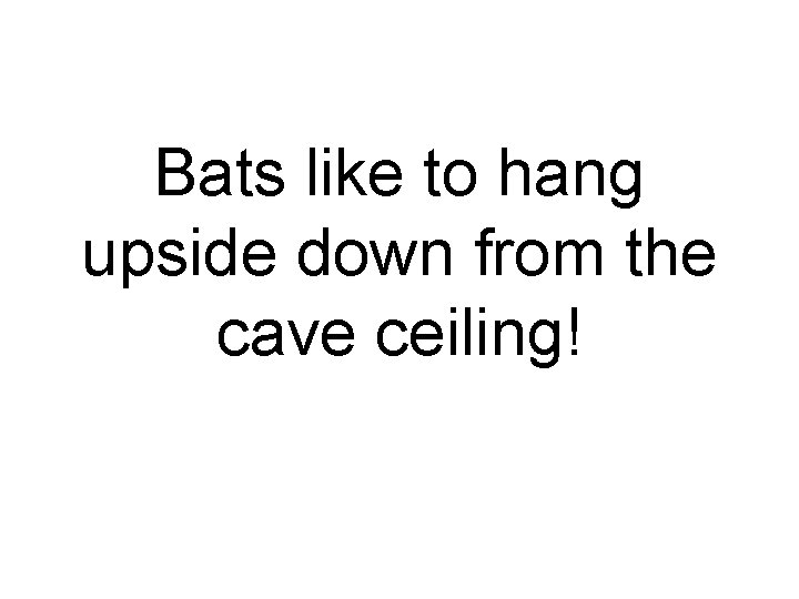 Bats like to hang upside down from the cave ceiling! 