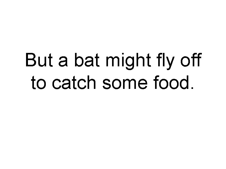 But a bat might fly off to catch some food. 