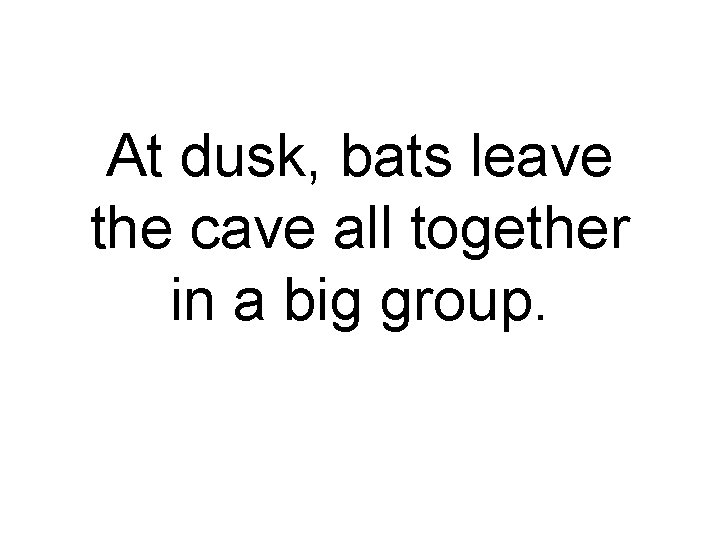 At dusk, bats leave the cave all together in a big group. 