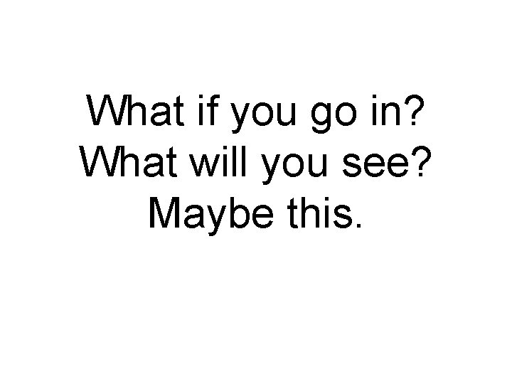 What if you go in? What will you see? Maybe this. 