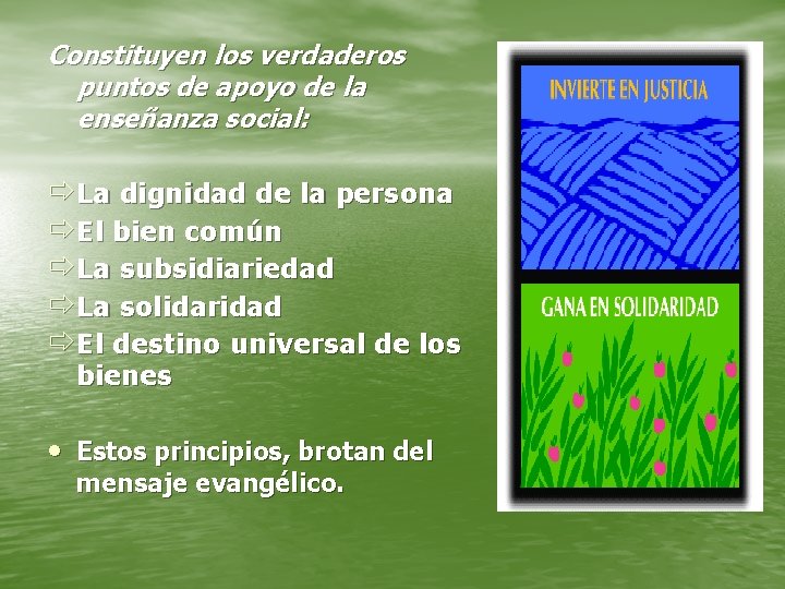 Constituyen los verdaderos puntos de apoyo de la enseñanza social: ð La dignidad de