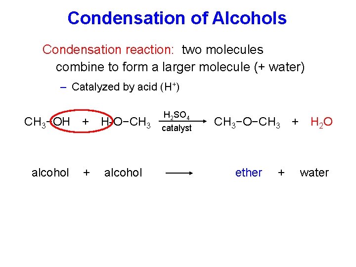 Condensation of Alcohols Condensation reaction: two molecules combine to form a larger molecule (+