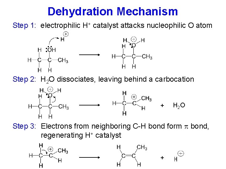 Dehydration Mechanism Step 1: electrophilic H+ catalyst attacks nucleophilic O atom Step 2: H