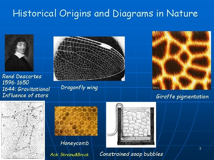 Historical Origins and Diagrams in Nature René Descartes 1596 -1650 1644: Gravitational Influence of