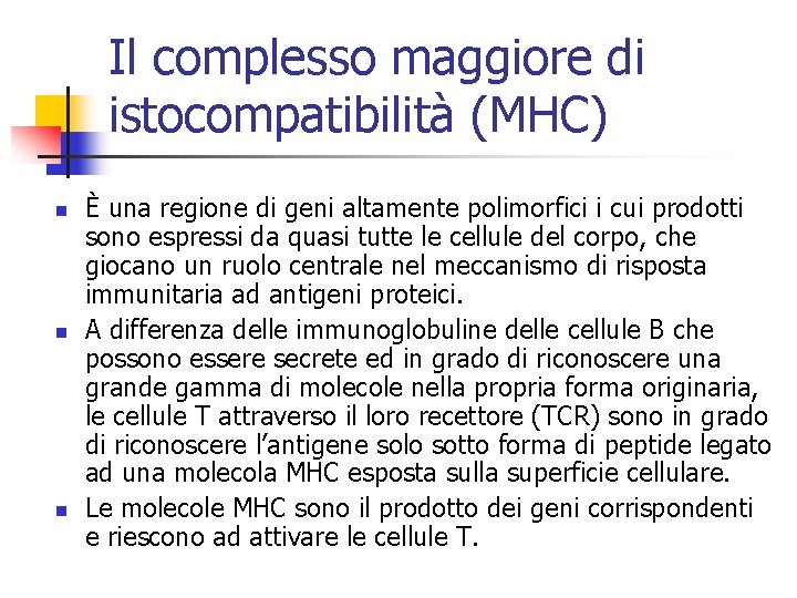 Il complesso maggiore di istocompatibilità (MHC) n n n È una regione di geni