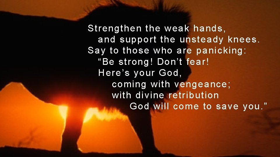 Strengthen the weak hands, and support the unsteady knees. Say to those who are