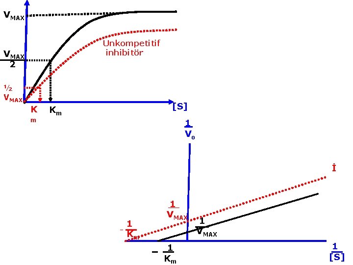VMAX Unkompetitif inhibitör VMAX 2 ½ VMAX K m [S] Km 1 Vo İ