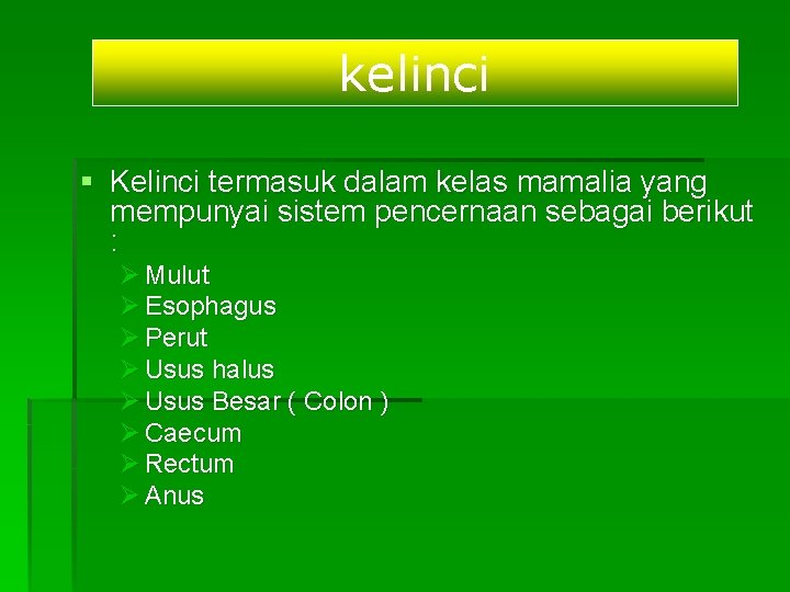 kelinci § Kelinci termasuk dalam kelas mamalia yang mempunyai sistem pencernaan sebagai berikut :