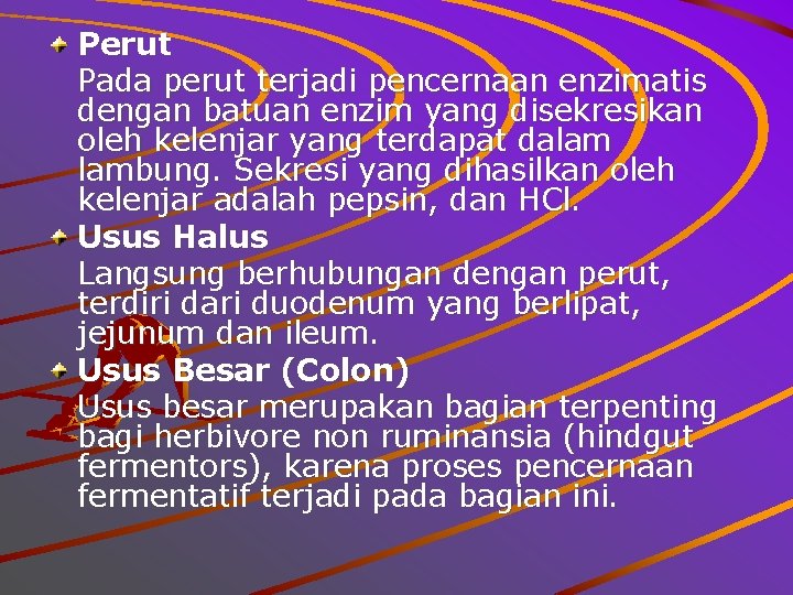 Perut Pada perut terjadi pencernaan enzimatis dengan batuan enzim yang disekresikan oleh kelenjar yang