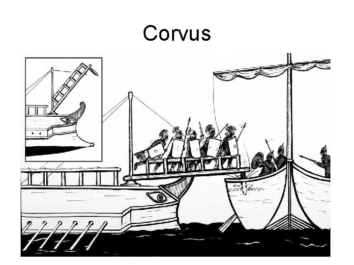 Corvus 