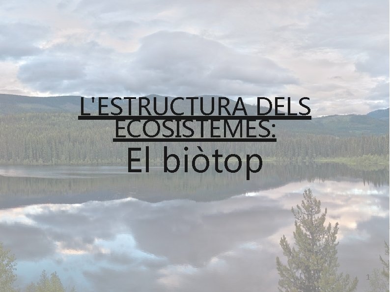 L'ESTRUCTURA DELS ECOSISTEMES: El biòtop 1 