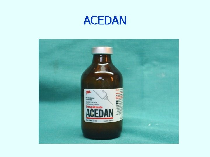 ACEDAN 