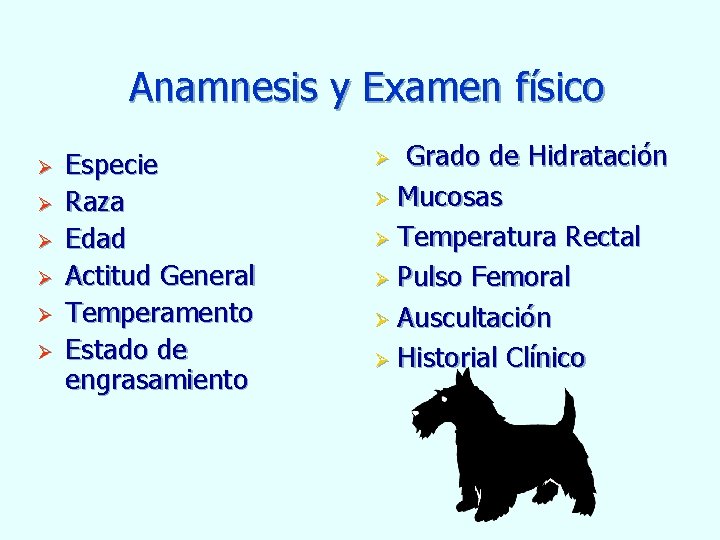 Anamnesis y Examen físico Ø Ø Ø Especie Raza Edad Actitud General Temperamento Estado