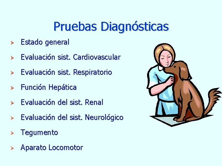 Pruebas Diagnósticas Ø Estado general Ø Evaluación sist. Cardiovascular Ø Evaluación sist. Respiratorio Ø