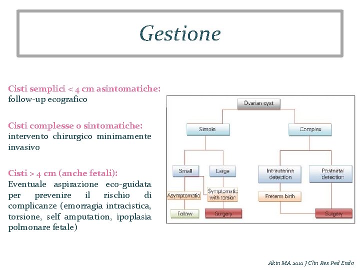 Gestione Cisti semplici < 4 cm asintomatiche: follow-up ecografico Cisti complesse o sintomatiche: intervento