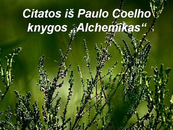 Citatos iš Paulo Coelho knygos „Alchemikas“ 