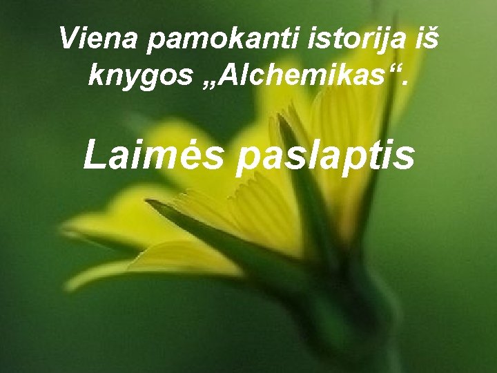 Viena pamokanti istorija iš knygos „Alchemikas“. Laimės paslaptis 