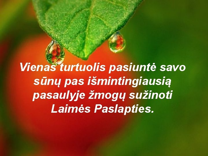 Vienas turtuolis pasiuntė savo sūnų pas išmintingiausią pasaulyje žmogų sužinoti Laimės Paslapties. 