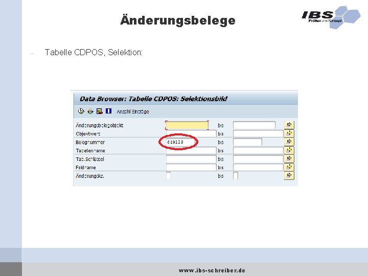 Änderungsbelege - Tabelle CDPOS, Selektion: www. ibs-schreiber. de 