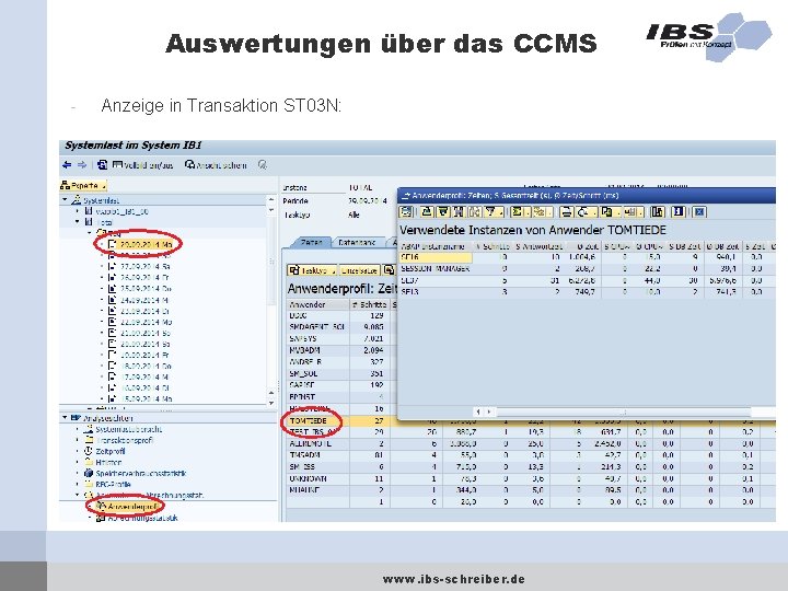 Auswertungen über das CCMS - Anzeige in Transaktion ST 03 N: www. ibs-schreiber. de