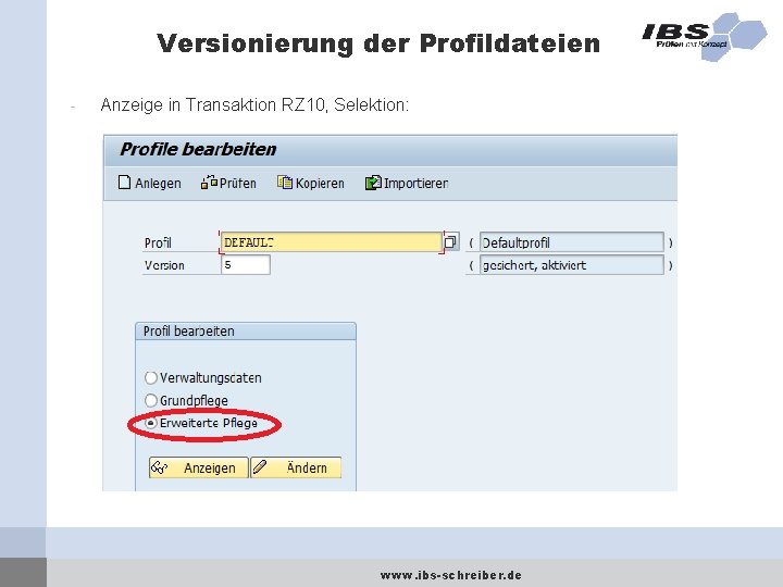 Versionierung der Profildateien - Anzeige in Transaktion RZ 10, Selektion: www. ibs-schreiber. de 