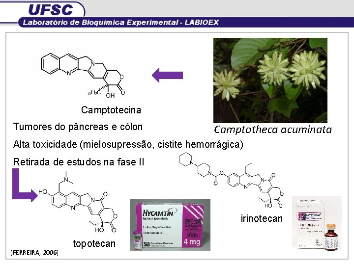 Camptotecina Tumores do pâncreas e cólon Camptotheca acuminata Alta toxicidade (mielosupressão, cistite hemorrágica) Retirada