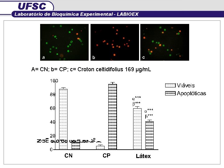 A= CN; b= CP; c= Croton celtidifolius 169 µg/m. L 