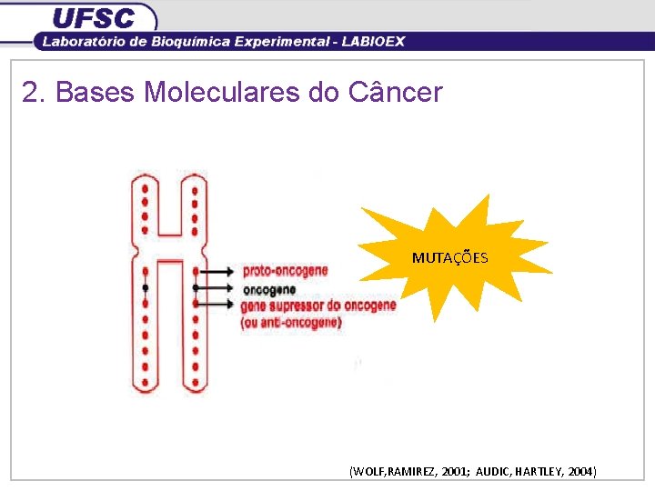 2. Bases Moleculares do Câncer MUTAÇÕES (WOLF, RAMIREZ, 2001; AUDIC, HARTLEY, 2004) 